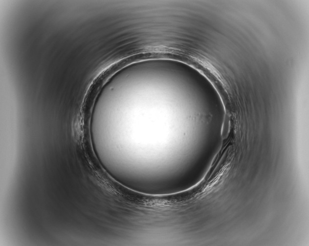 X0000096410971200801311349