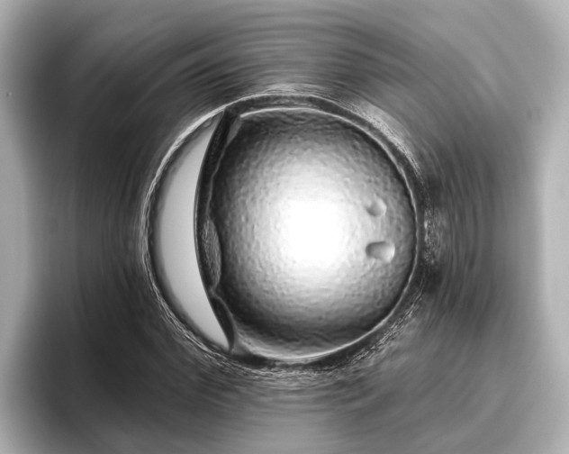 X0000096410972200801311349