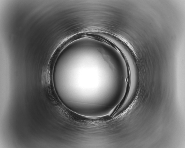 X0000096410973200801311349