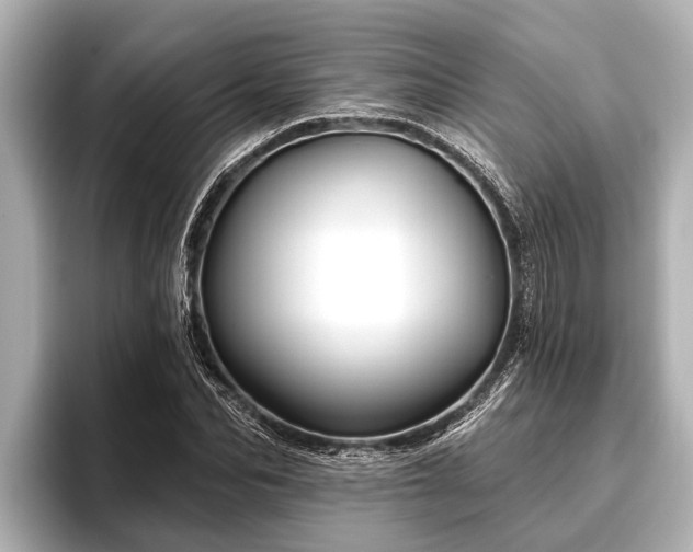 X0000096410974200801311349