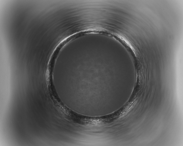 X0000096410975200801311349