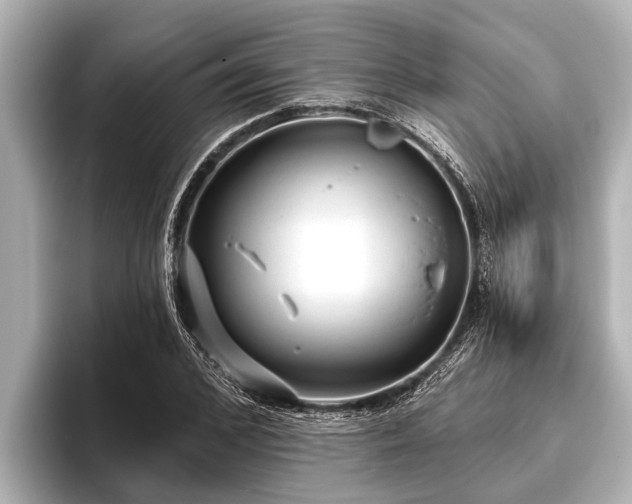 X0000096410976200801311349