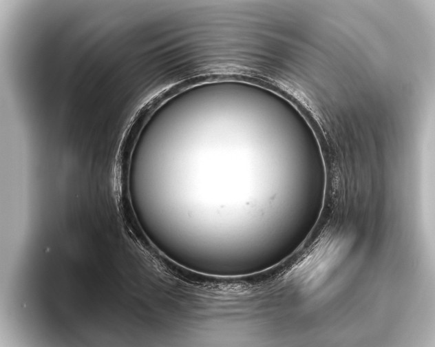 X0000096410979200801311349