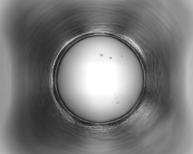 X0000096410980200801311349