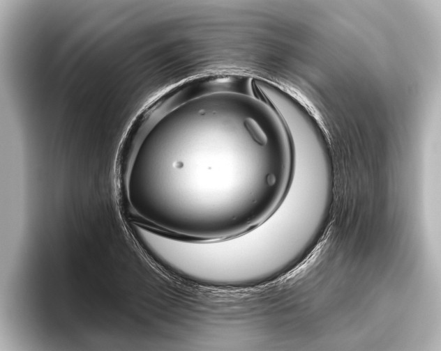 X0000096410981200801311349