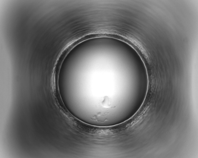 X0000096410982200801311349