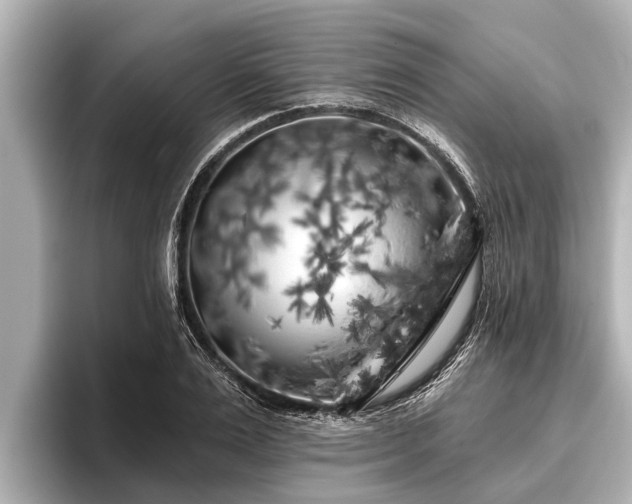 X0000096410983200801311349