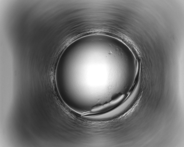 X0000096410985200801311349