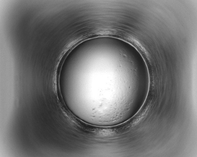 X0000096410986200801311349