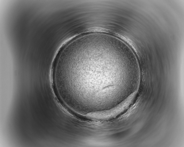 X0000096410987200801311349