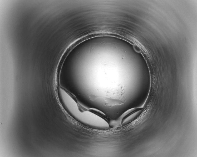 X0000096410988200801311349