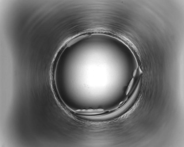 X0000096410989200801311349