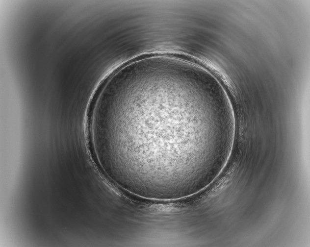 X0000096410990200801311349