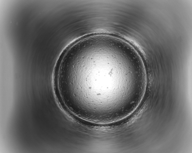 X0000096410991200801311349