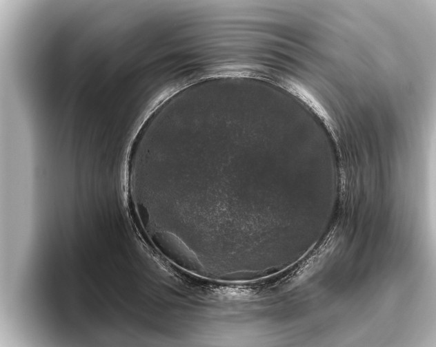 X0000096410994200801311349