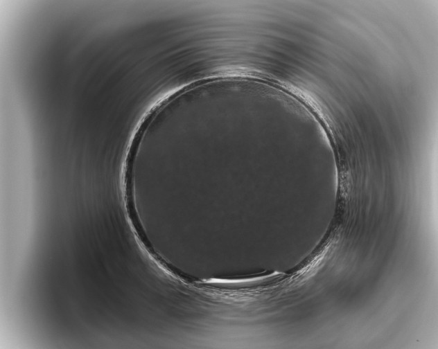 X0000096410995200801311349