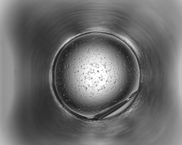 X0000096410999200801311349