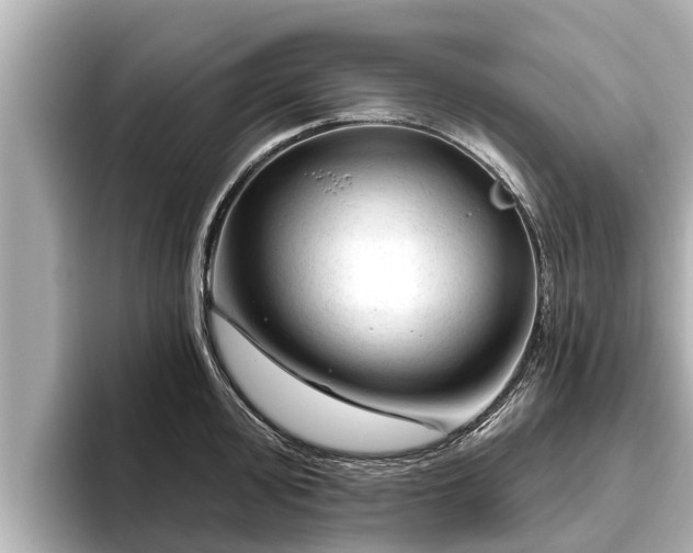 X0000096411000200801311348