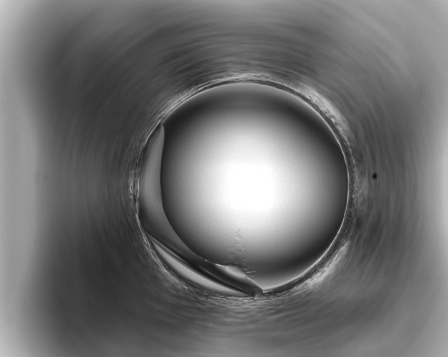 X0000096411001200801311348