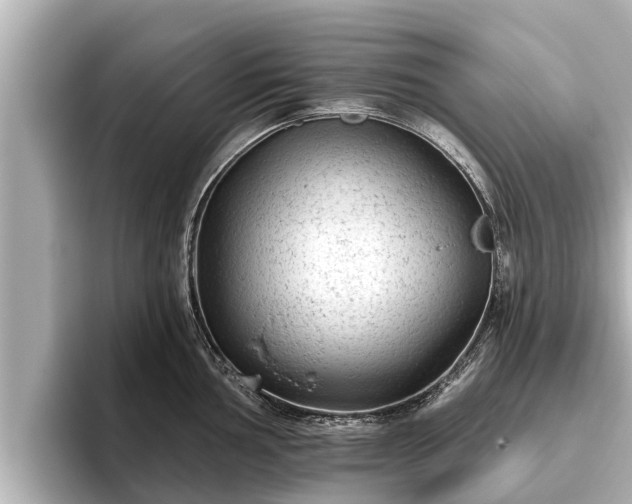 X0000096411002200801311348