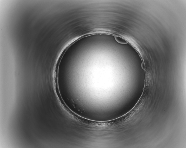 X0000096411003200801311348