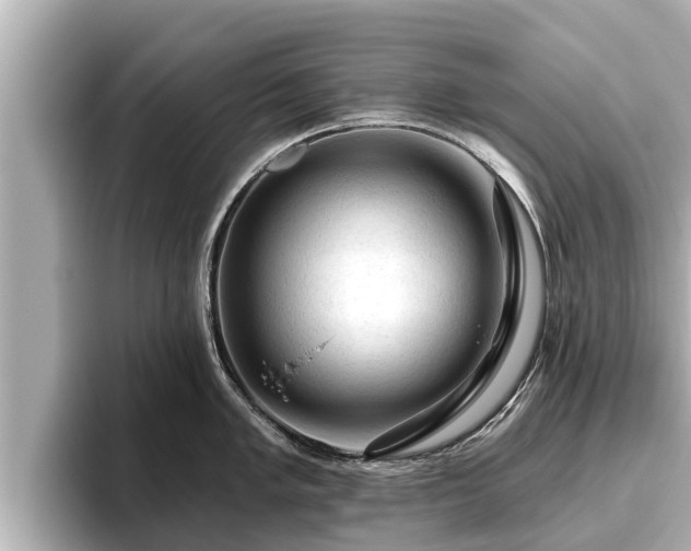 X0000096411005200801311348
