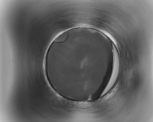 X0000096411007200801311348