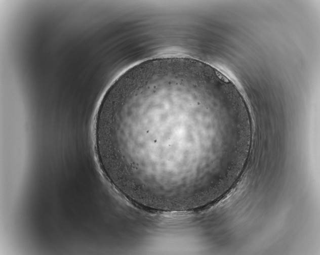 X0000096411008200801311348