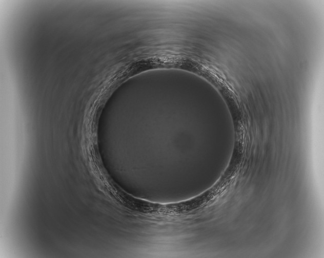X0000096411009200801311348