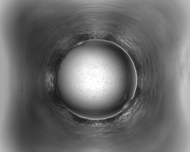 X0000096411010200801311348