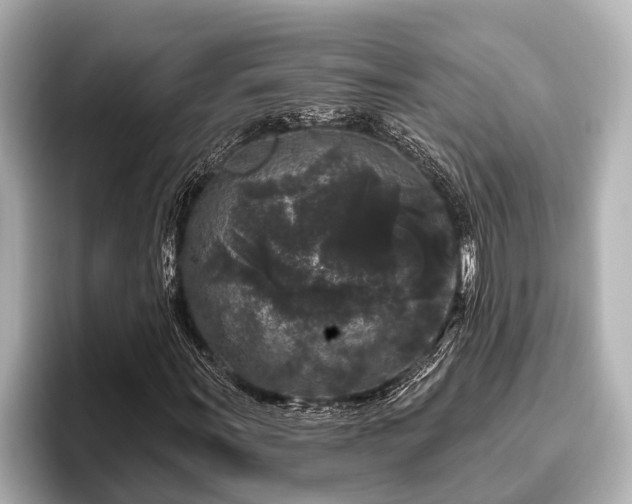 X0000096411011200801311348