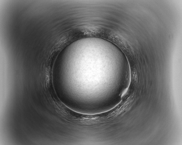 X0000096411012200801311348