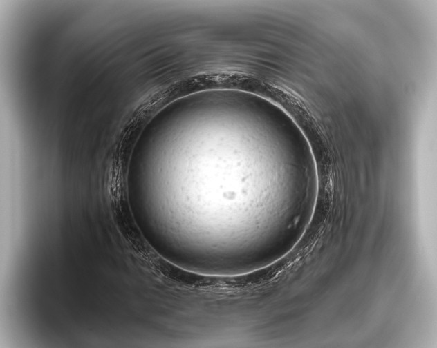 X0000096411014200801311348