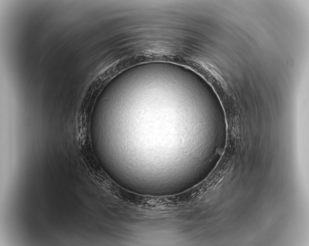 X0000096411015200801311348