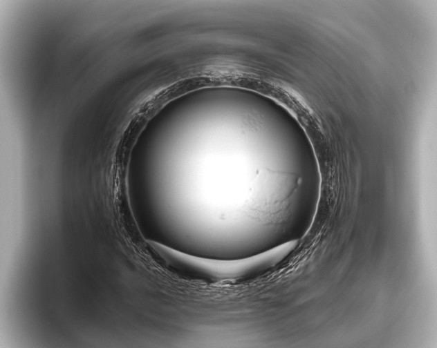 X0000096411016200801311348