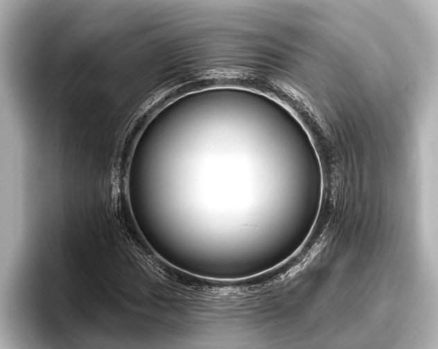 X0000096411017200801311348