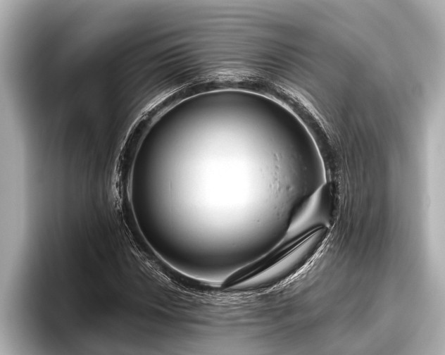 X0000096411018200801311348