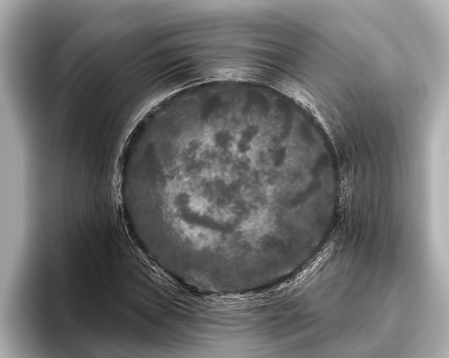 X0000096411019200801311348