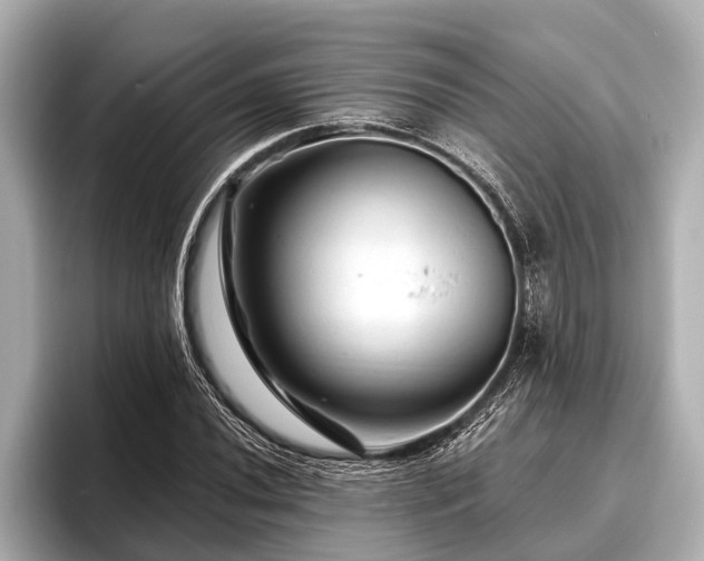 X0000096411020200801311348