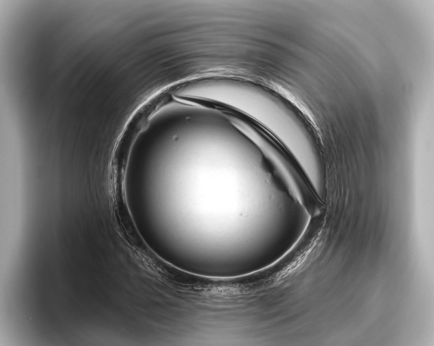 X0000096411021200801311348