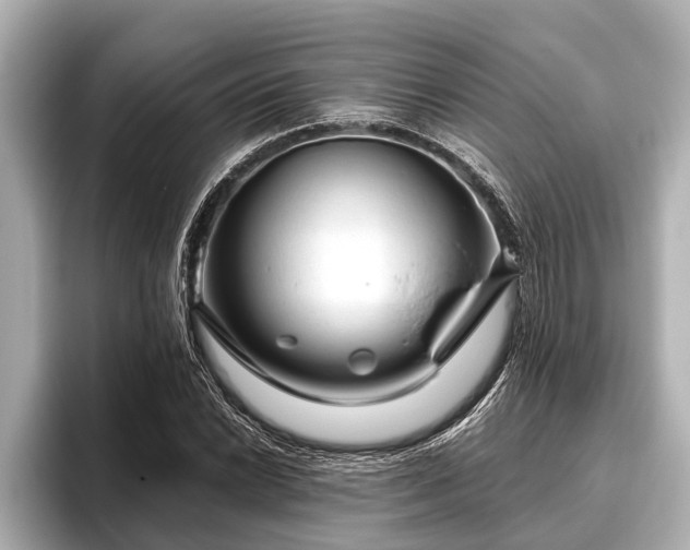X0000096411022200801311348