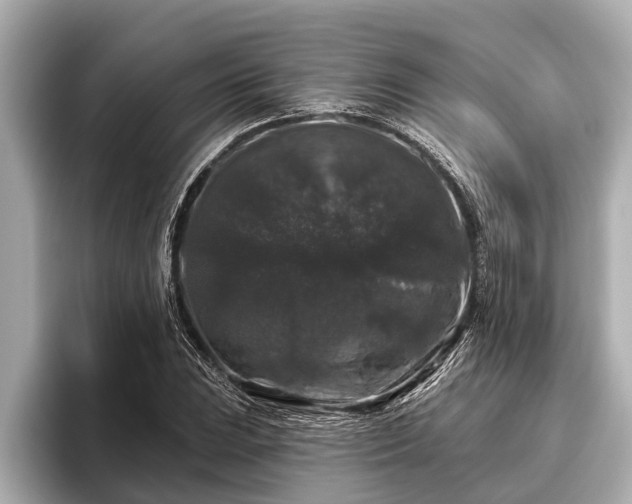 X0000096411023200801311348