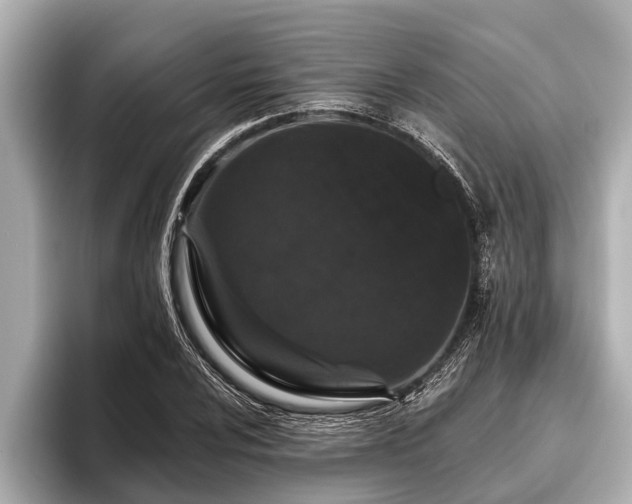 X0000096411024200801311348