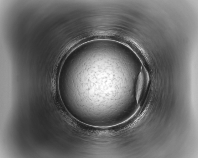 X0000096411025200801311348