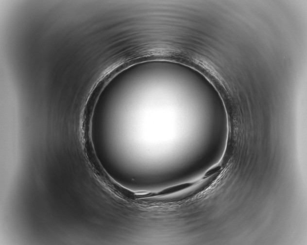 X0000096411026200801311348