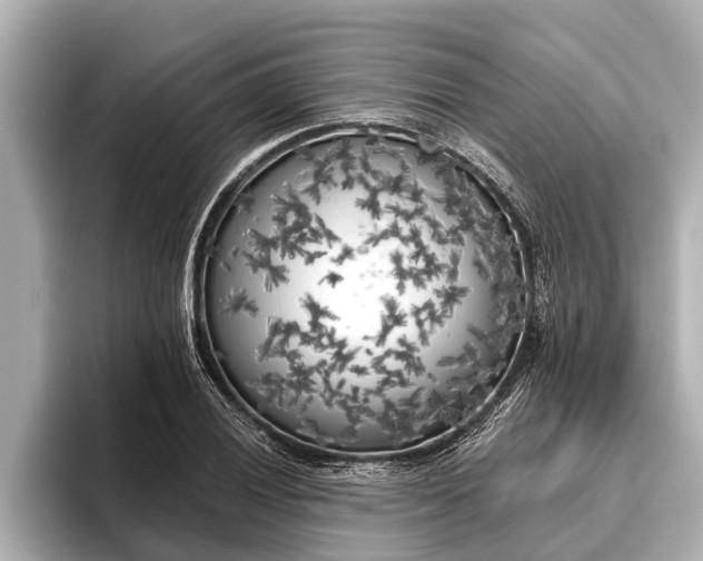 X0000096411028200801311348