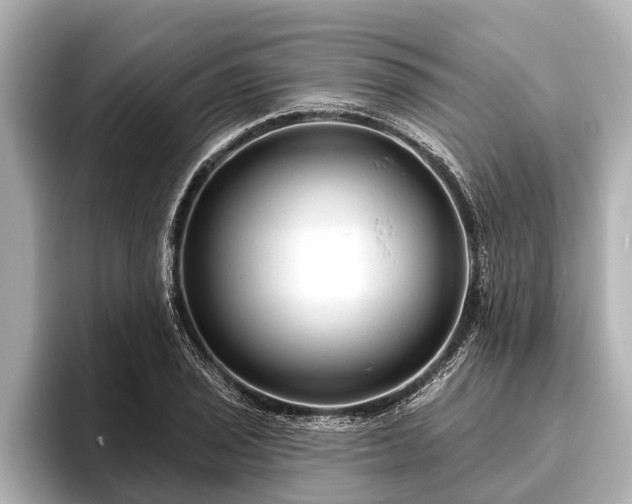 X0000096411029200801311348