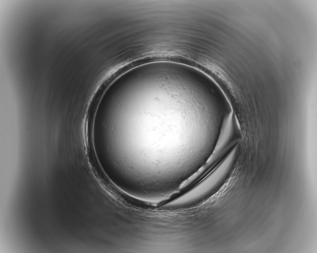 X0000096411030200801311348