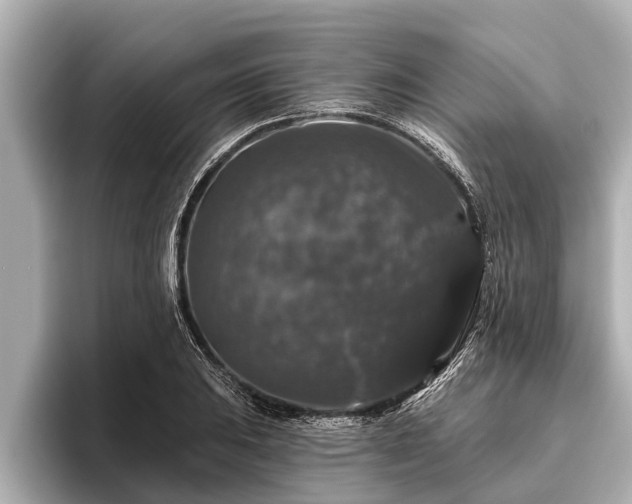 X0000096411031200801311348