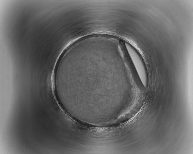 X0000096411032200801311348